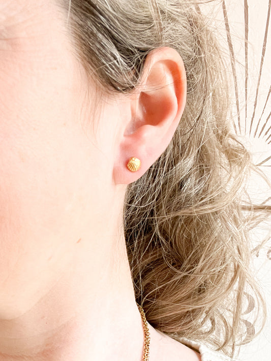 Boucles d'oreilles puces effet devant derrière Coquillage