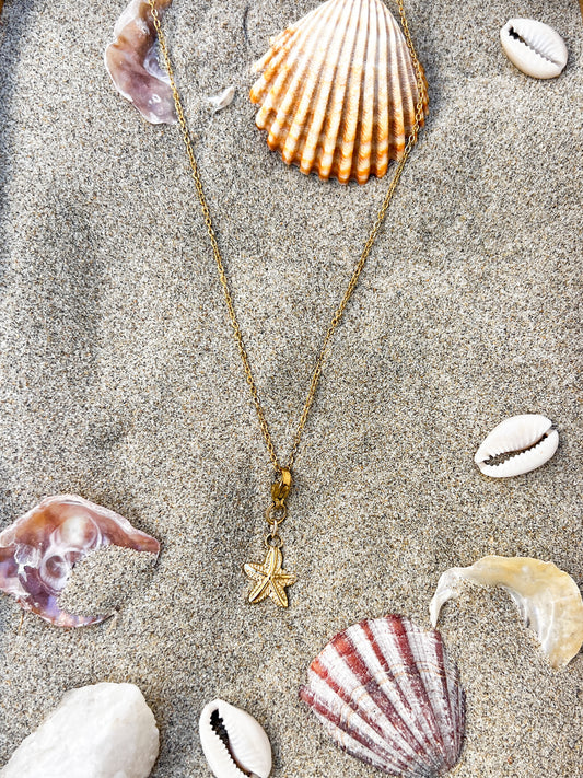Collier Étoile de mer