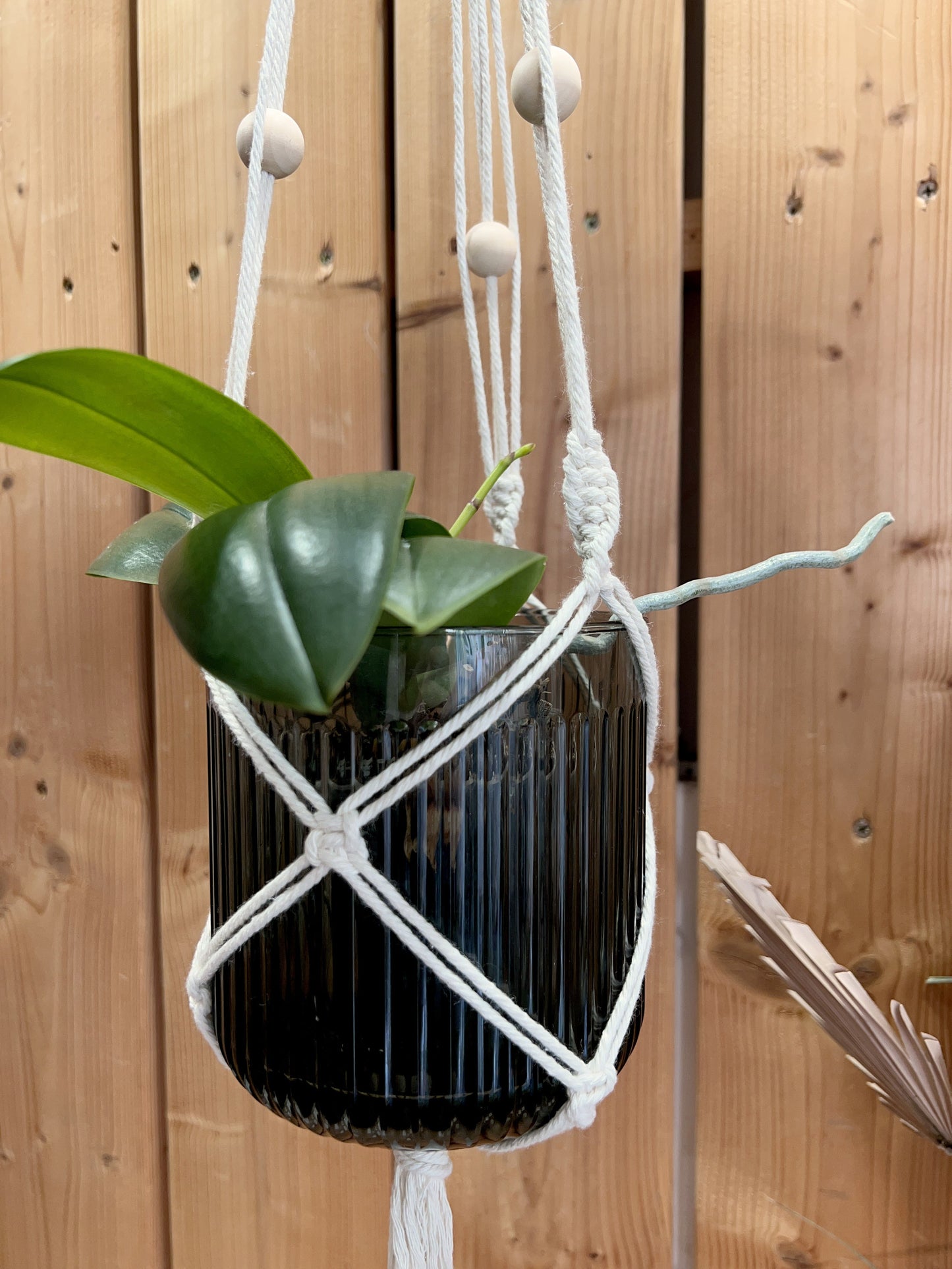 Macrame Plant Holder Creative Workshop